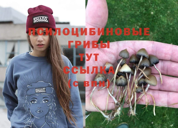 метадон Осташков