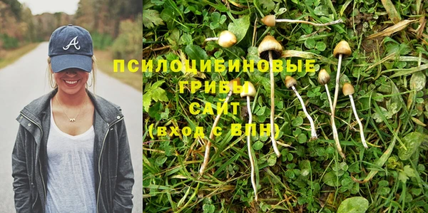 a pvp Осинники