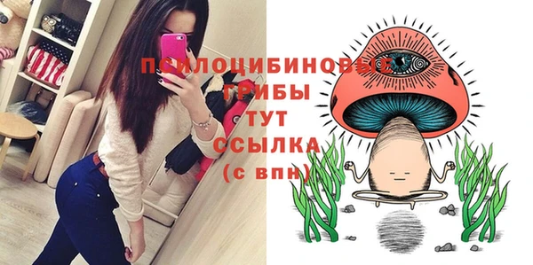 a pvp Осинники