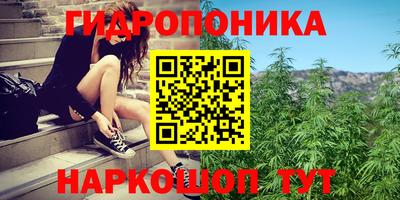 СК Бийск