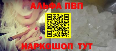 СК Бийск