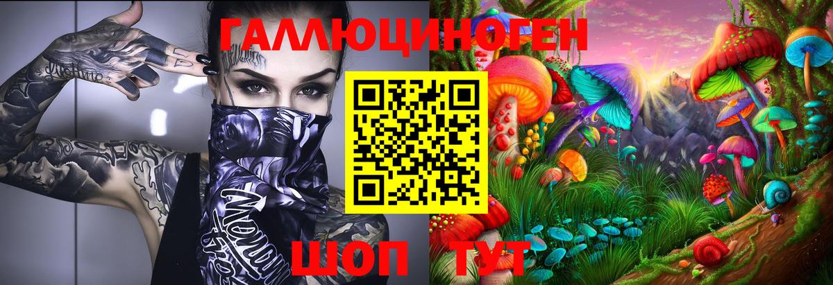 Ейск  Галлюциногенные грибы MAGIC MUSHROOMS  Галлюциногенные грибы ЛСД  Вход с VPN 