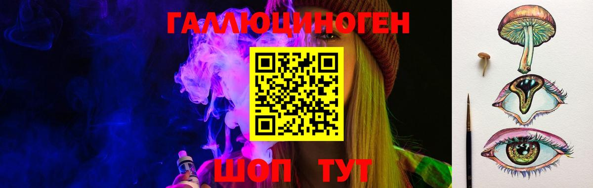 Псилоцибиновые грибы Psilocybe Ейск